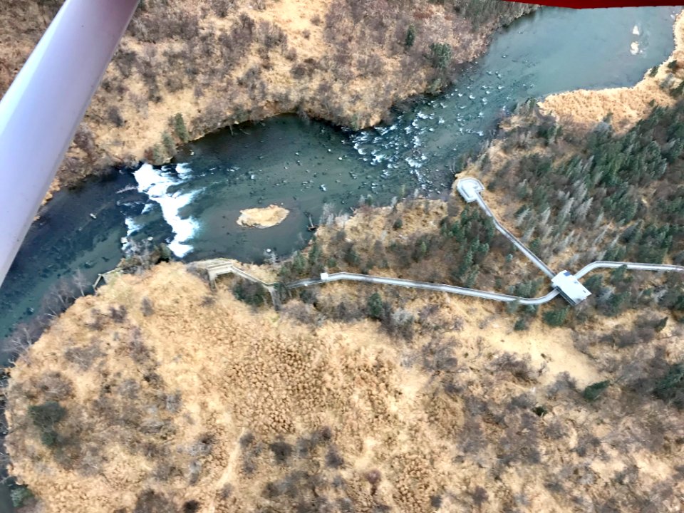 Brooks Falls and Viewing Platform