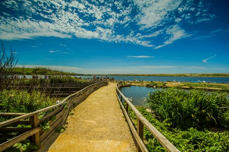 Of the sea country skt