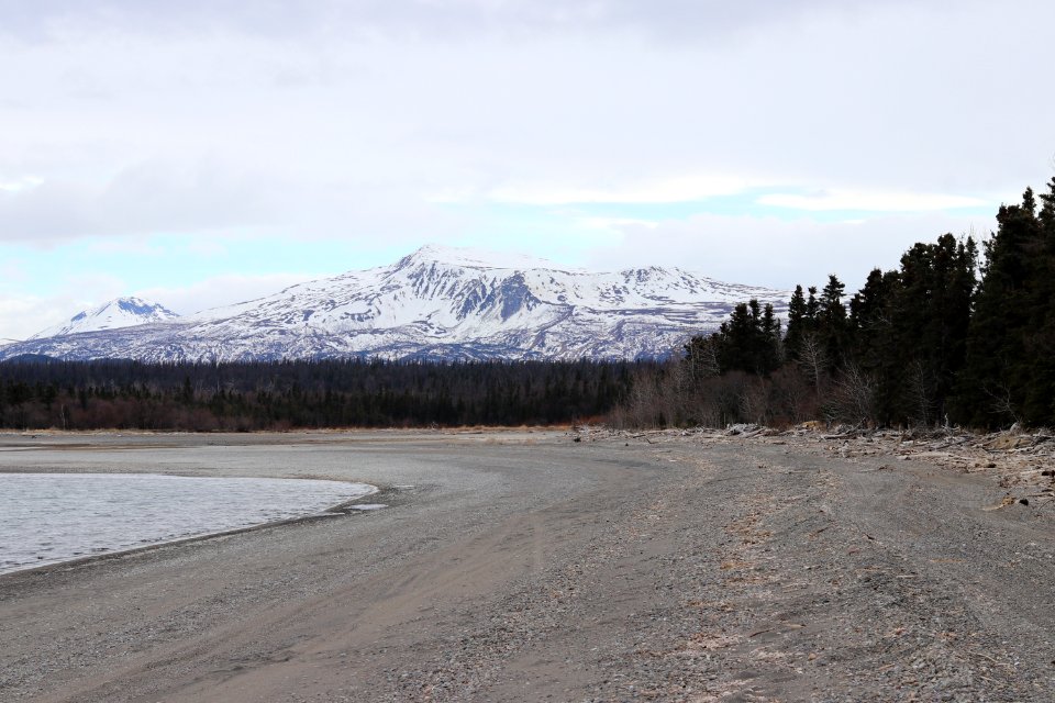 Naknek Lake beach