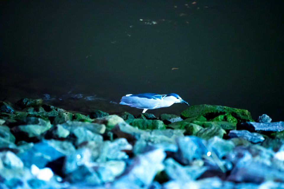 DSC02508
