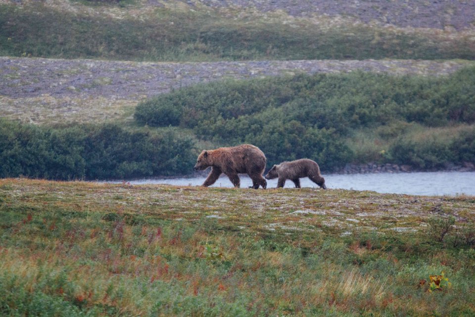 20170824-crosswinds-momandcub-amrnps-2