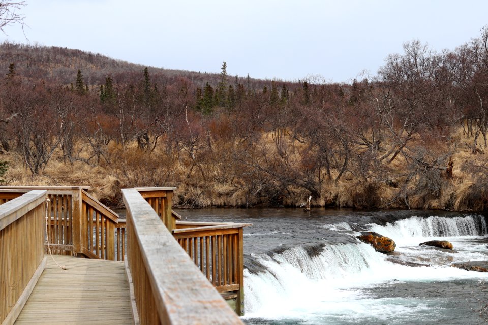 Brooks Falls Platform
