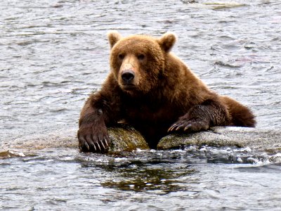 Taking a Break From Fishing  NPS Photo/ N. Boak