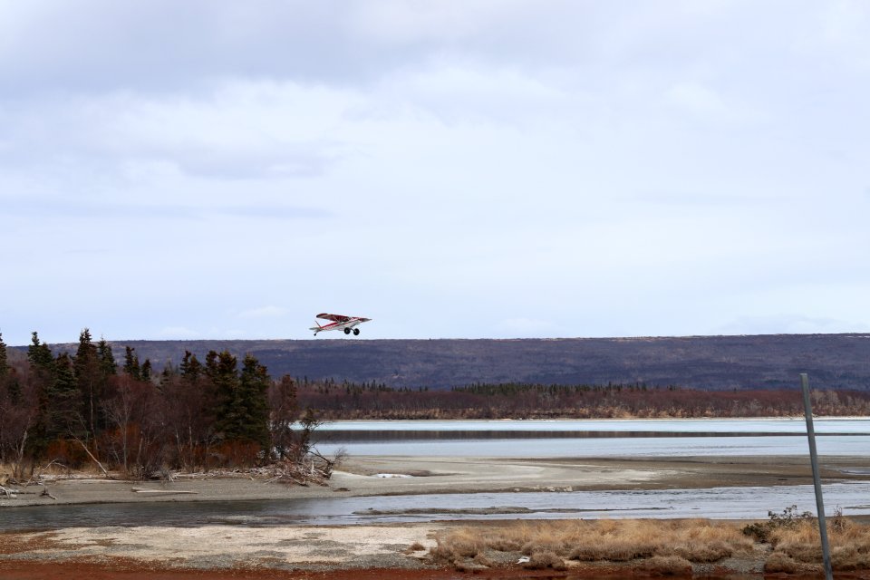 Brooks River mouth