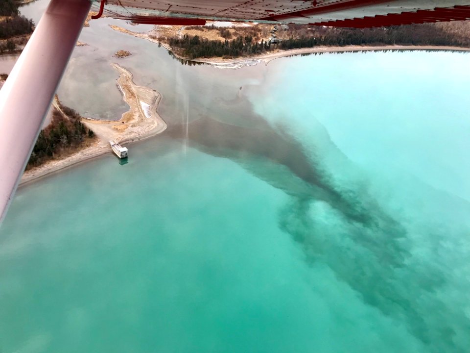 Mouth of Brooks River - "Q" and a bear