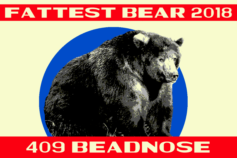 Katmai National Park Crowns 2018 Fat Bear Week Champion