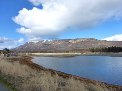Dumpling Mountain, Brooks Camp 04072016 - 58