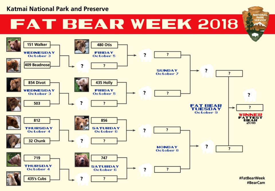 Fat Bear Week 2018 Bracket