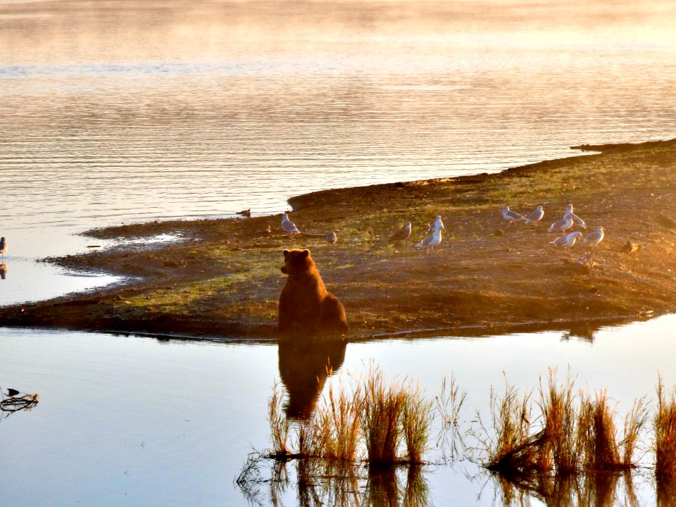 Sunrise On the River  NPS Photo/ N. Boak