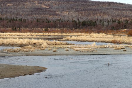 Brooks River