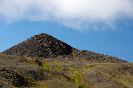 Caribou graze on a mountain slope, Katmai Preserve NPS Photo/Russ Taylor
