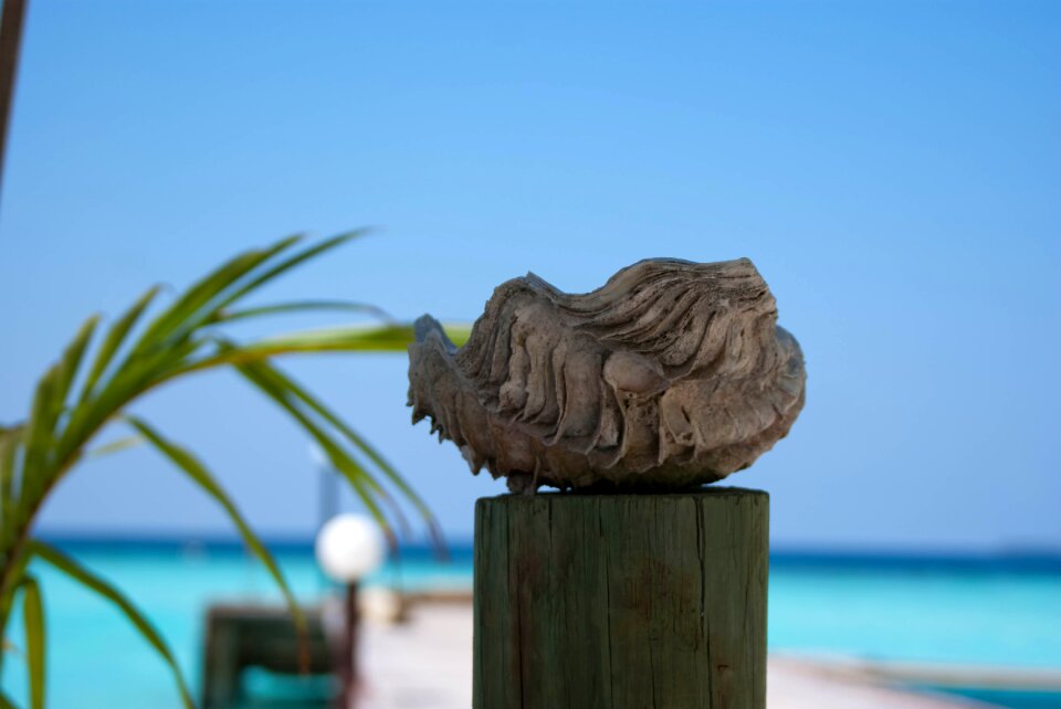 Ashtray the scenery shell