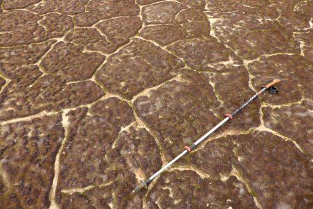 cryptobiotic crust and gullies on the southeast side of Broken Mountain 4 08172013