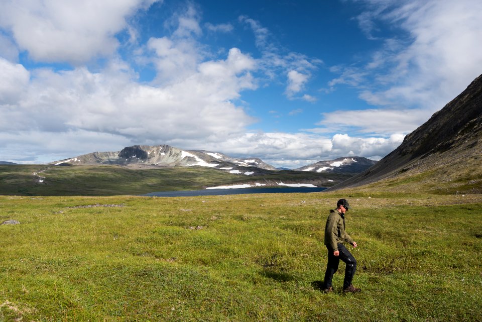 A ranger walks across the tundra at a backcountry lake in the Katmai Preserve NPS Photo/Russ Taylor