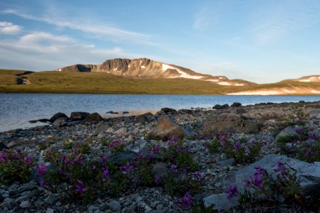 Wildflowers adorn the  lakeshore at Mirror Lake NPS Photo/Russ Taylor