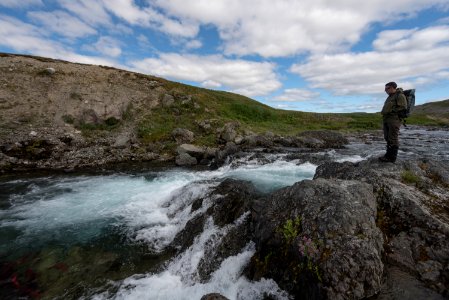 A park ranger looks over a stream filled with salmon NPS Photo/Russ Taylor