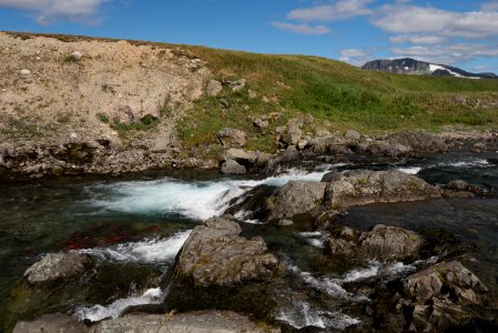 Salmon pool beneath a waterfall they'll jump on their way to spawn NPS Photo/Russ Taylor