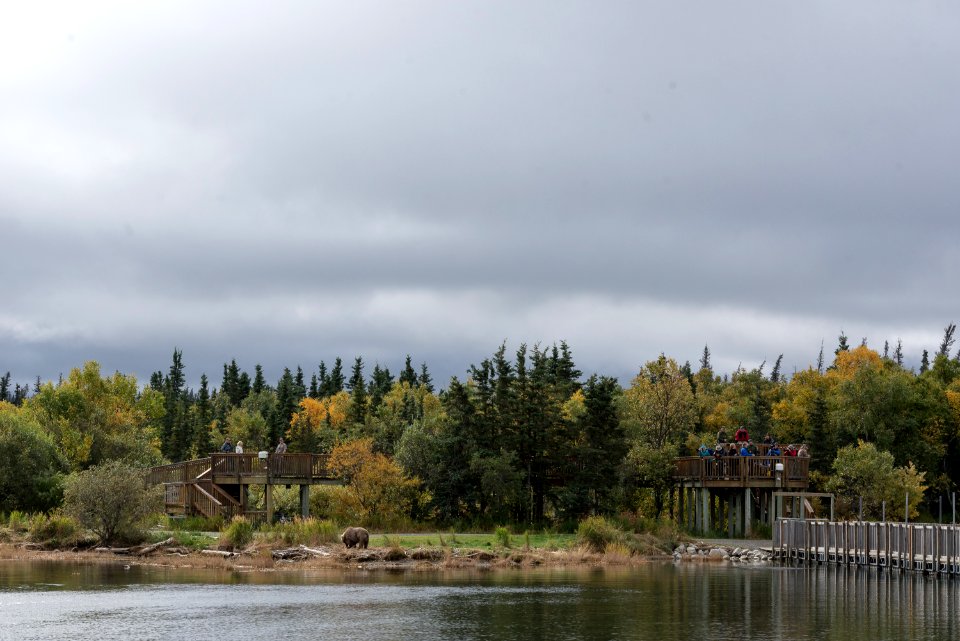 The Platform on the Lower Brooks River