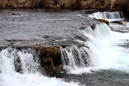 Brooks Falls