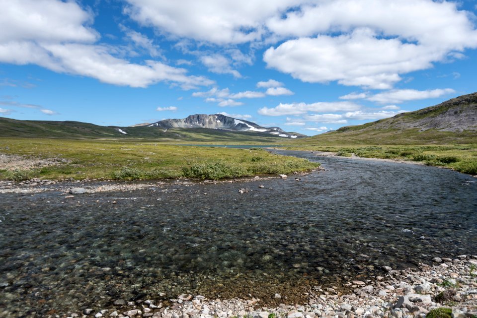 A backcountry stream in the Katmai National Preserve NPS Photo/Russ Taylor