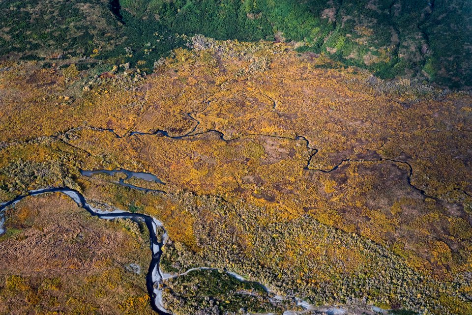 Swikshak September 19, 2018