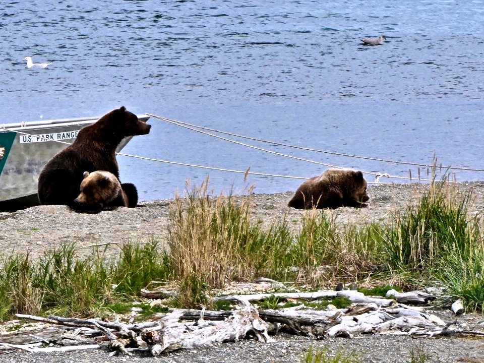 Family on beach  NPS Photo/ N. Boak