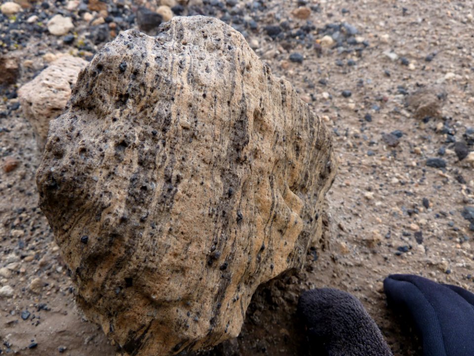 Dacite and andesite banded pumice