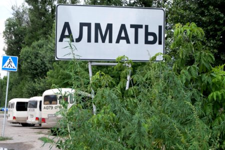 Widok raczej typowy.