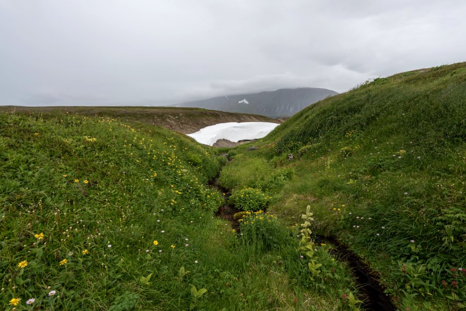 Late summer melting snow, Katmai Preserve NPS Photo/Russ Taylor