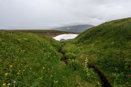 Late summer melting snow, Katmai Preserve NPS Photo/Russ Taylor