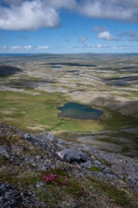 The Katmai Preserve NPS Photo/Russ Taylor photo