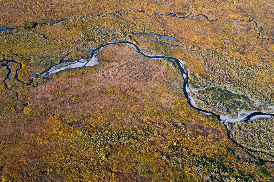 Swikshak September 19, 2018