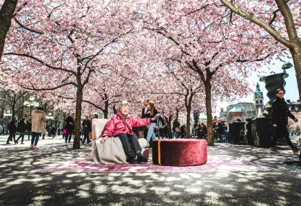 sweef kungsan jana eriksson-4223