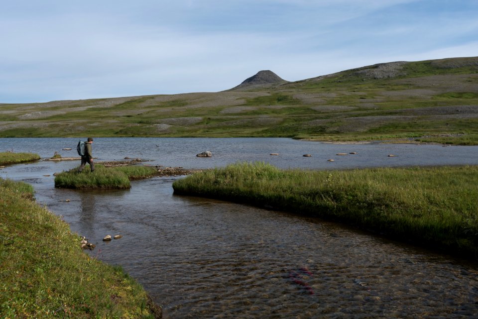 A park ranger crosses the outlet of a small stream in the Katmai Preserve NPS Photo/Russ Taylor