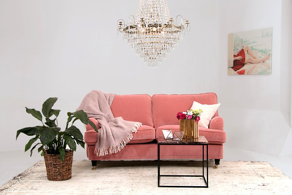nytt rosa lejon 2