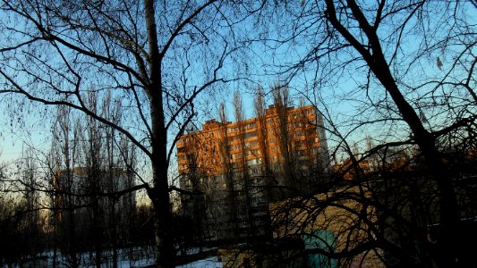 golden hour Novobilychi