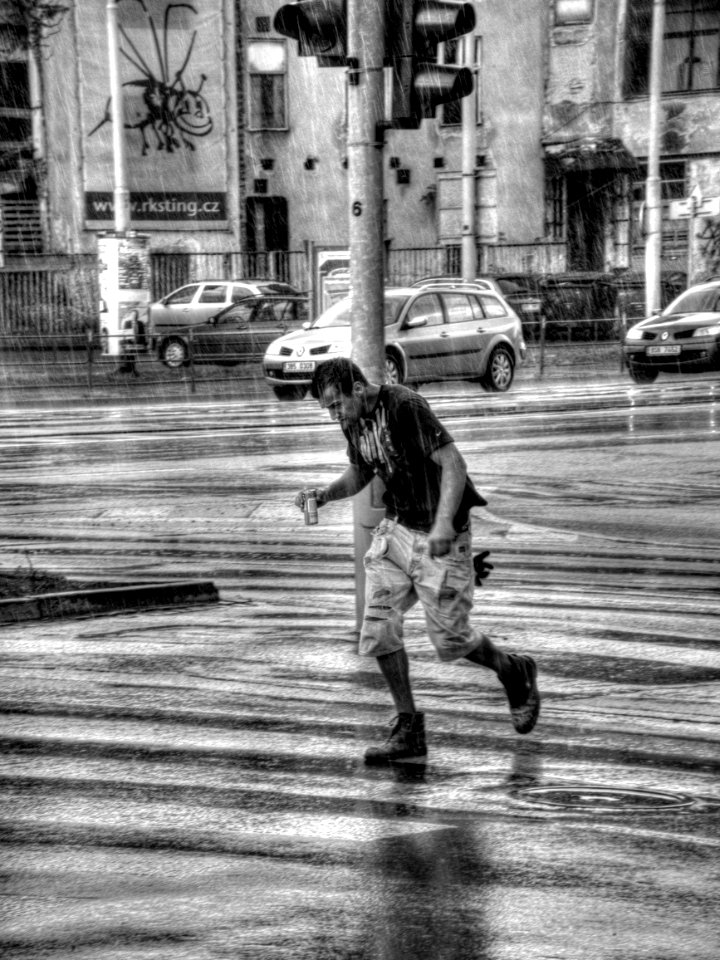 In the Spring Rain 5
