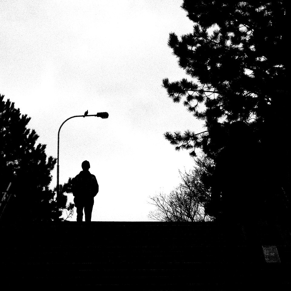 Man and Pigeon