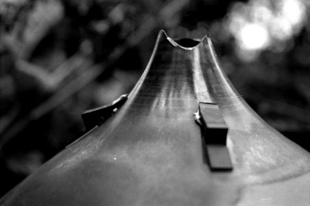 Exa + Tessar 2,8/50 - Beauties of Decay and Other Stories