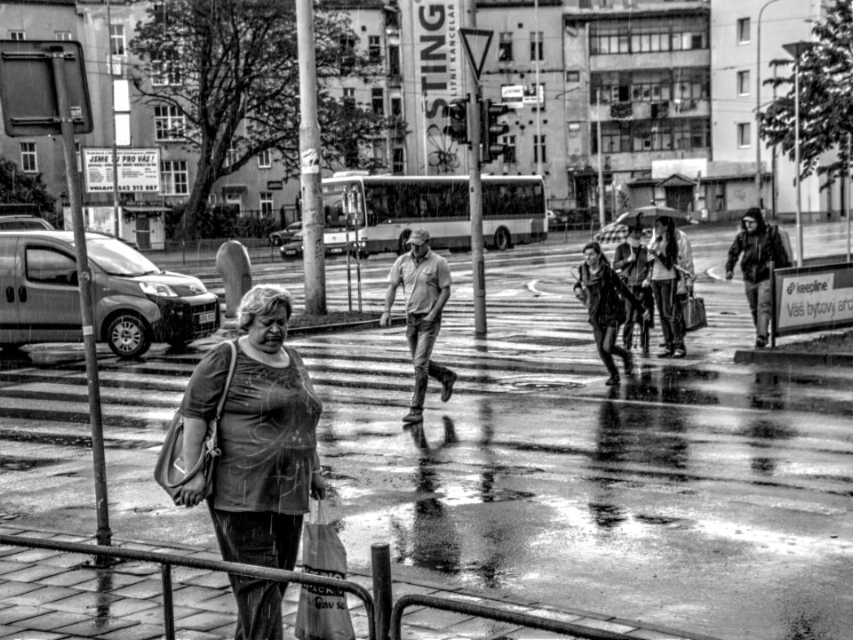 In the Spring Rain 6