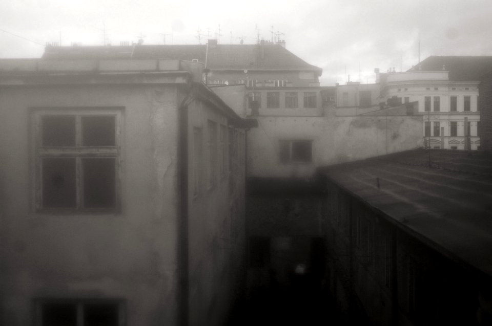 Sony Alpha A230 with MIR-1V - Roofs 2