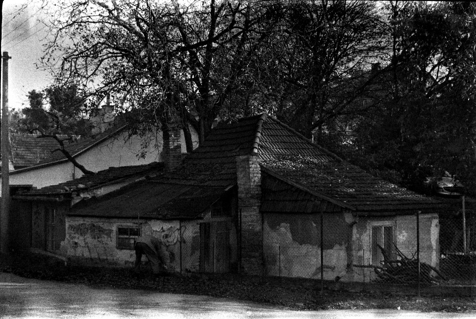 Vega II - Old Man and Little Old House 2