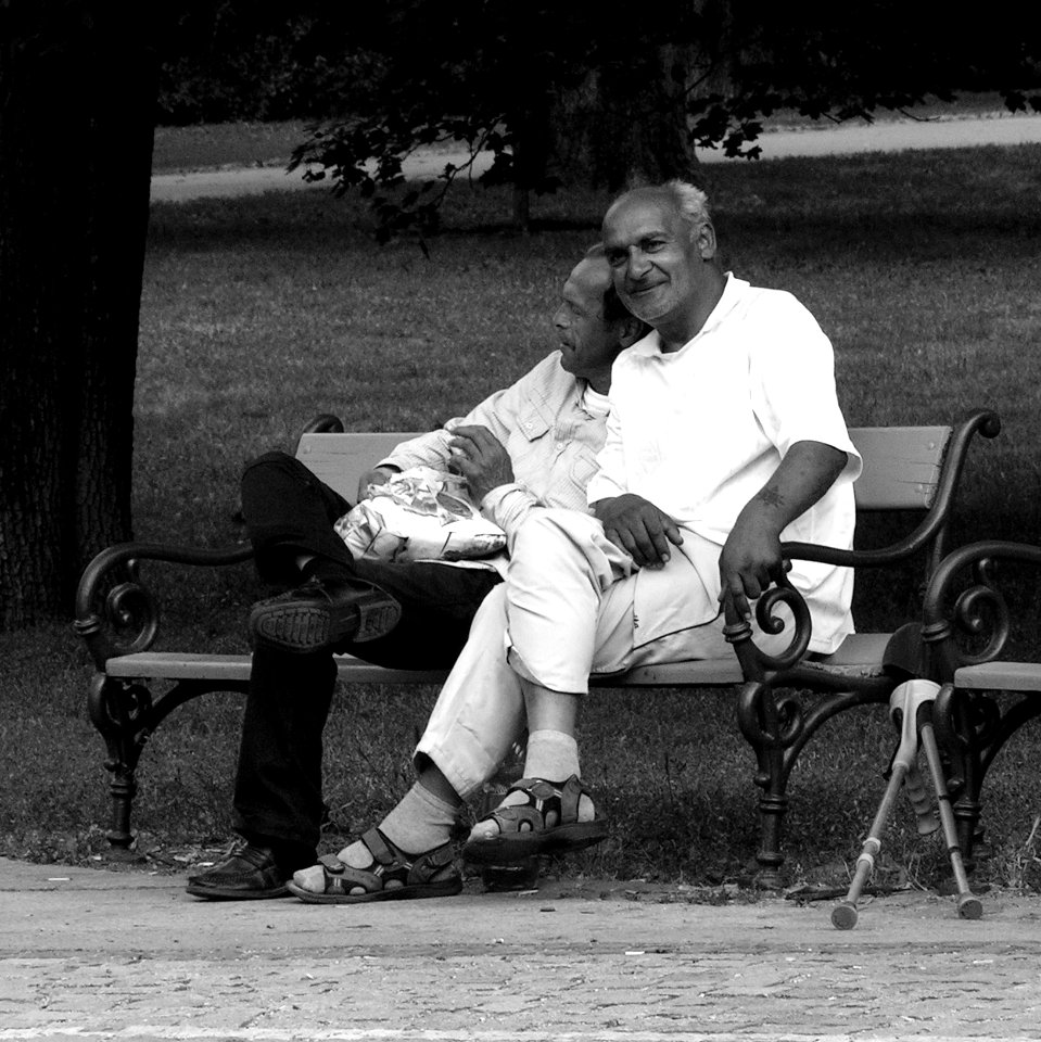 Old Friends (square format)