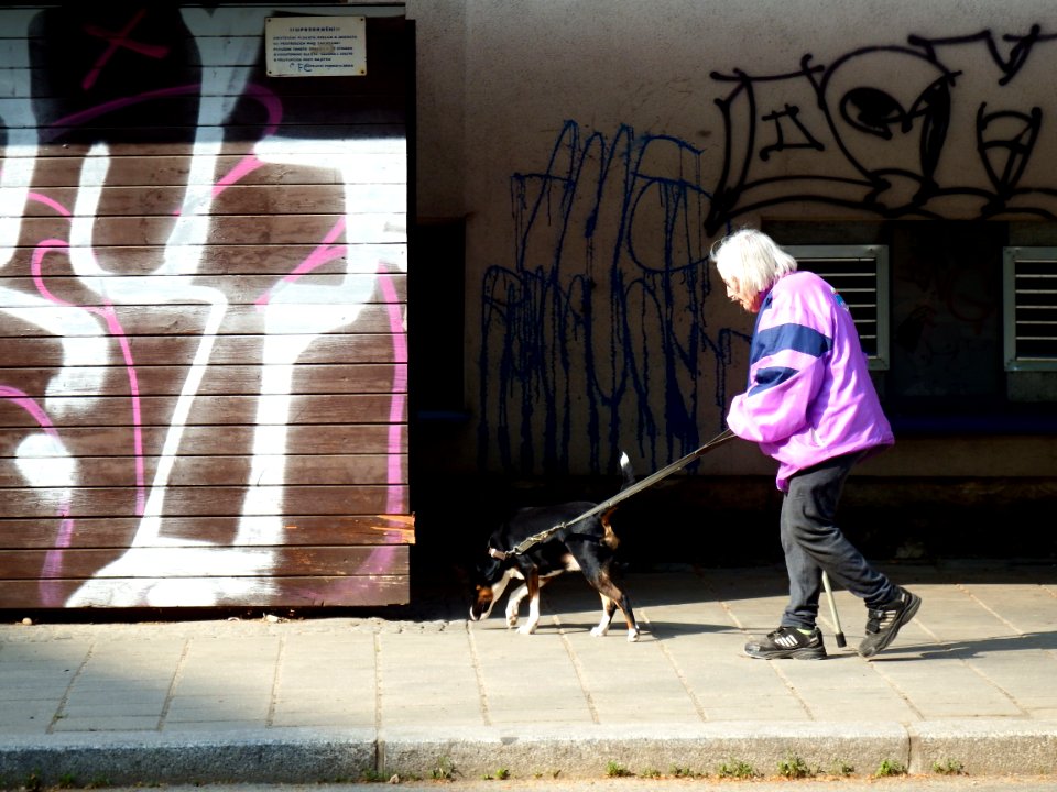 Old Woman with Young Dog