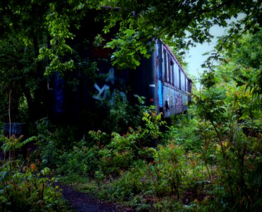 Abandoned Carriage