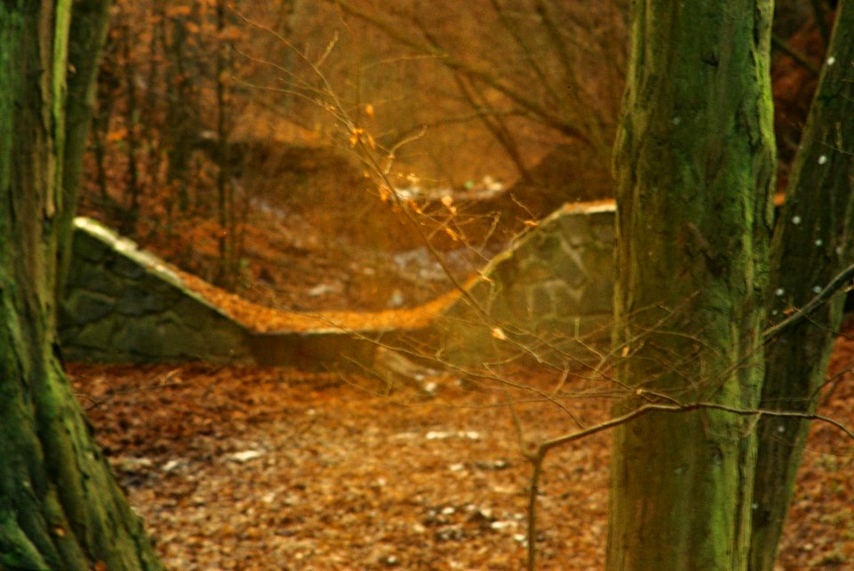 Praktica MTL3 + Edixa-Iscotar - Golden Hour Magick 4