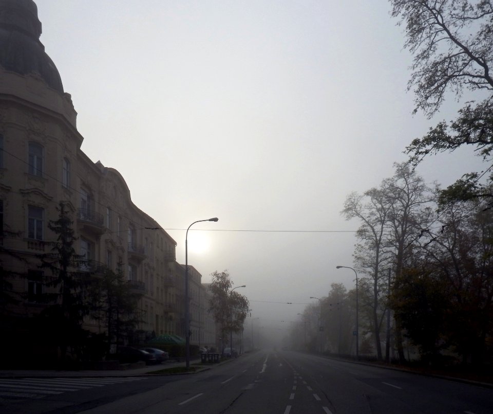 Misty Morning Street (edited converging verticals)