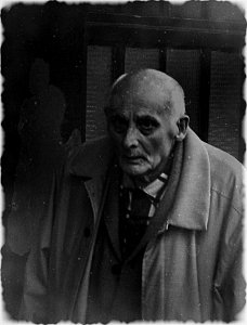 Nosferatu 2013