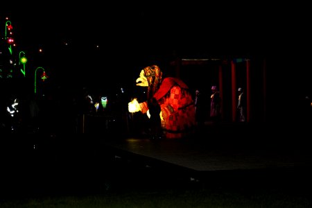 IMG 1611