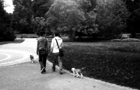 Vilia - Girls with Dogs 2
